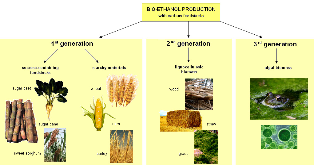 2. generations bioethanol produktion